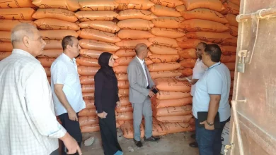 03394000c82e1d358c3f0581561863a4