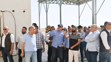 1becb490635fed4411ee473affcc7bb8