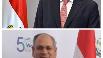 2951a7c650e01ec2fb59355c6165ea99