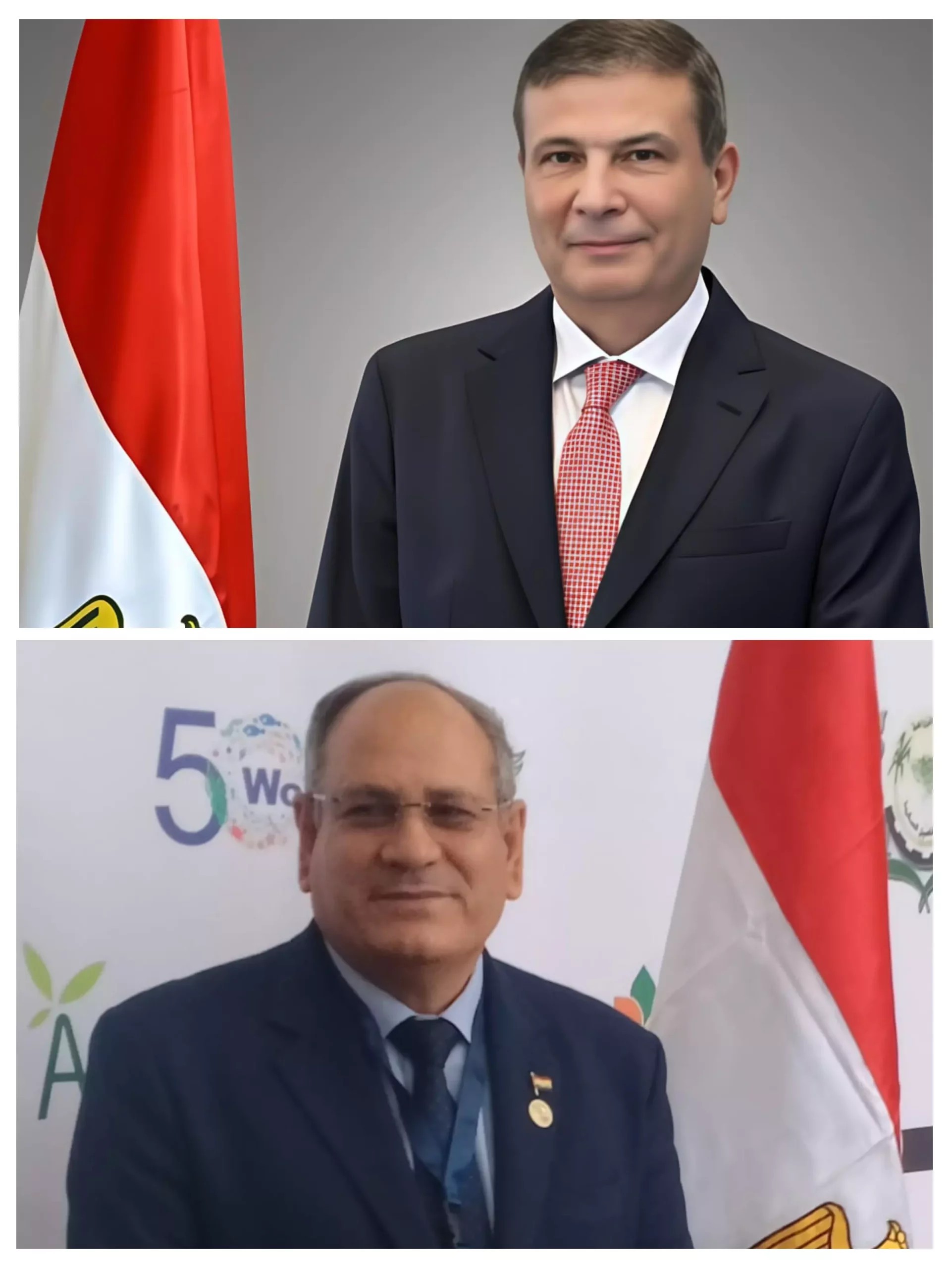 2951a7c650e01ec2fb59355c6165ea99