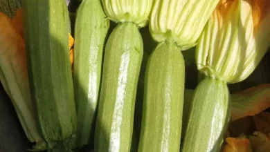 2d7d2890f7cdc69e3111184516ef4aa4