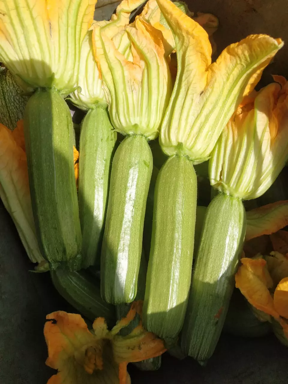 2d7d2890f7cdc69e3111184516ef4aa4