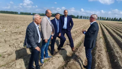 2f01ba7f655a2fc9d9b75717e1b44fef