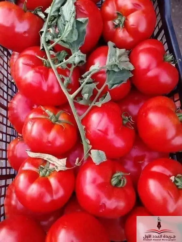 4096421e40fdfca08803d64347651667