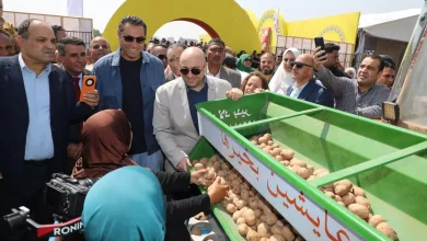 4fd286903b5124068c8d323069aa165c