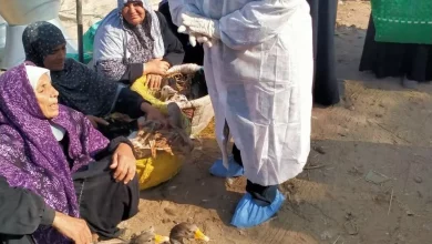 5403f1df024b72fdbcd444425d442eea