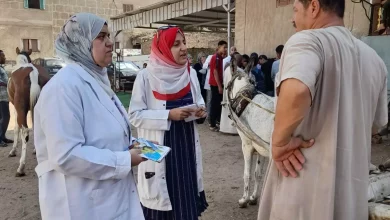 568e81f26575da3de638eb94efc73c5a