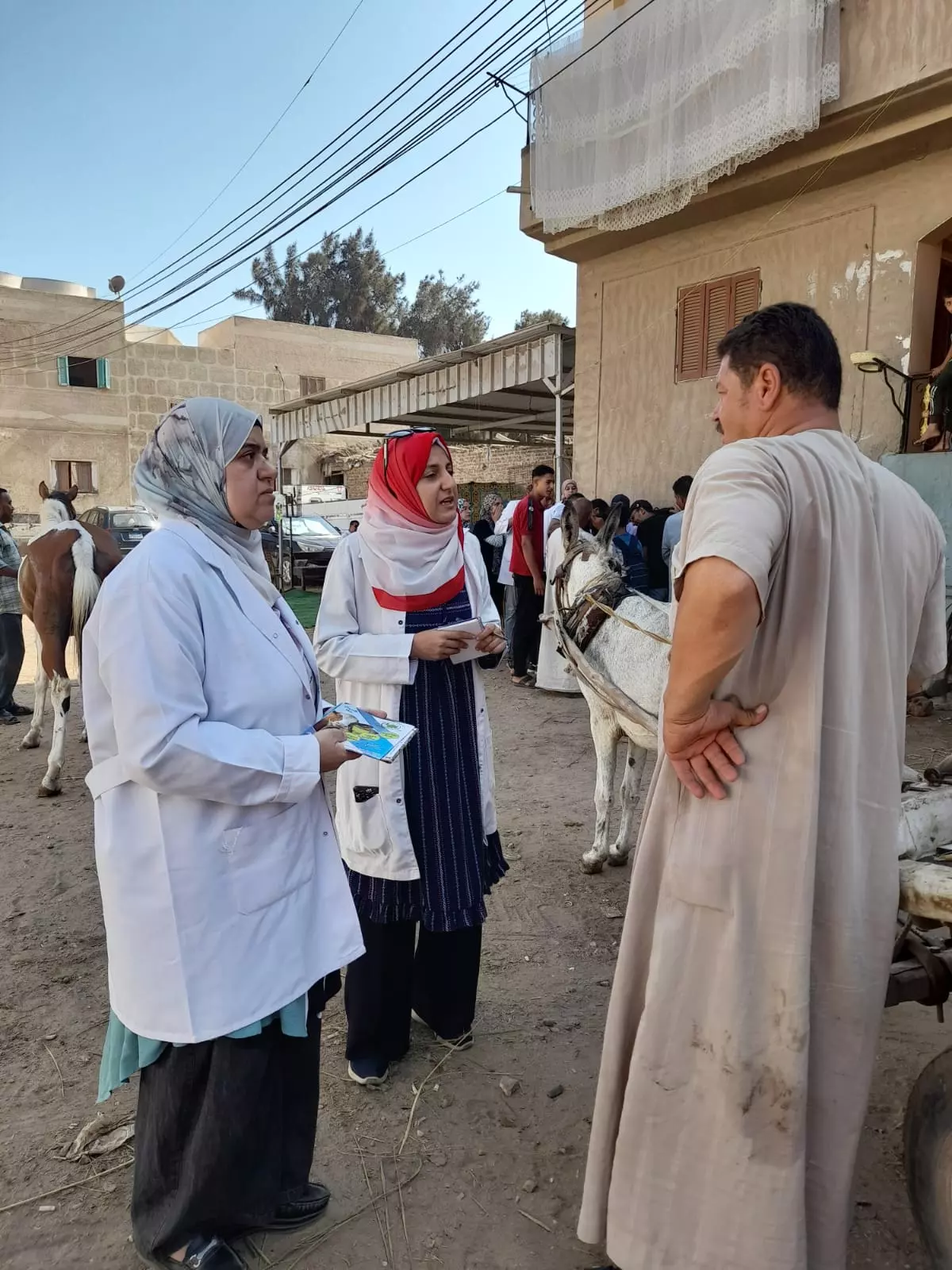 568e81f26575da3de638eb94efc73c5a