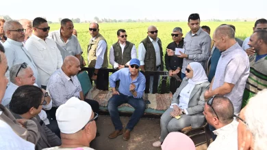 8261154276da89773d01d00ead7fa548