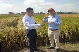 8cdf4ac9aeb59e3c3c03558e1d7884cb