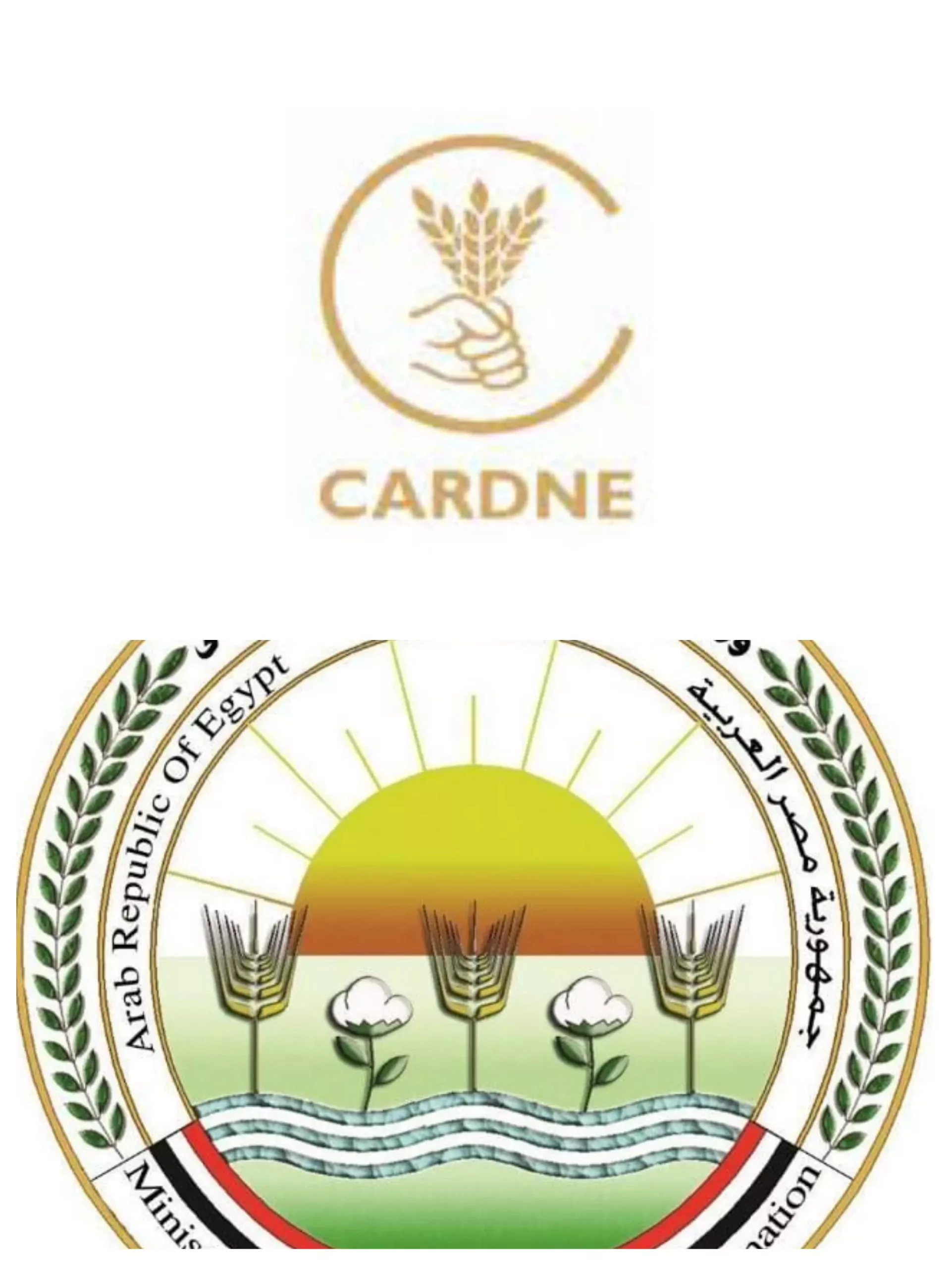 8e7880fb2d3b467654ad8d75e80c7416