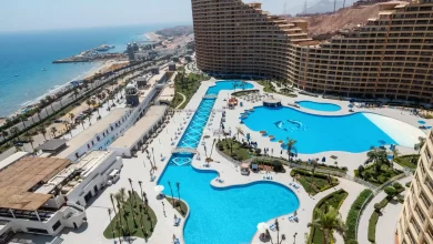 99d266b95903226b321e9aa9dad749f8