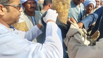 9f4e2c604fc8b7be037c0fba779258b4