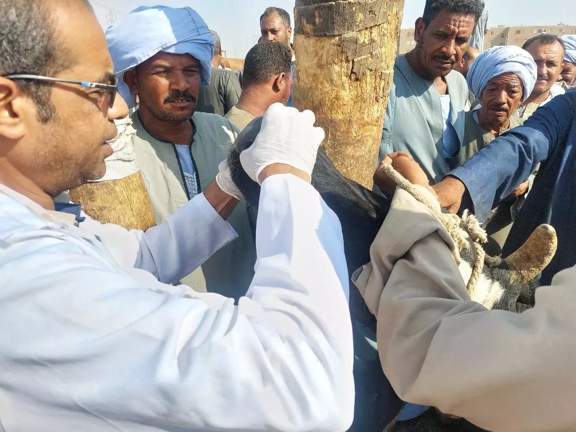 9f4e2c604fc8b7be037c0fba779258b4