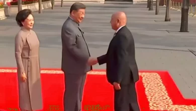 Af3406881715436af2ea57f439e051e6