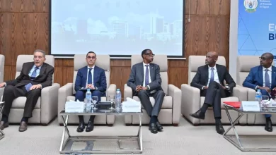 Bd7e00d8363fc8e3c209a5a91c9d87db