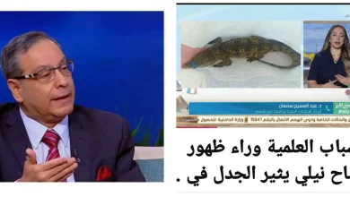 Be1b99ca06197556ea4d397155e0ae69