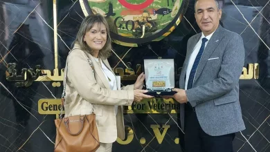 C666002fb7b4d414a00b25e1f1d0a720