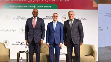 D22c17b046e2804b8fb7d3740dff162f