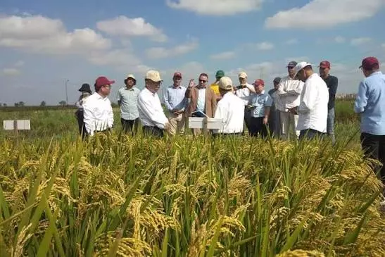 D29084835d4492fbdea4e76537a20fb9