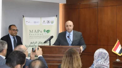 D7af423fa419636de19a5733f20c1418