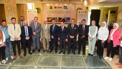 E4113d74f2a9746cff9f3dace1fbef3f