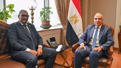 E87b228410a598ec449fa6808feae0ea