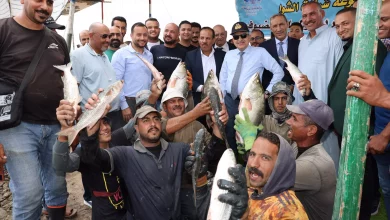 Eee383c3ea449eb3e7bd55d18855fae8