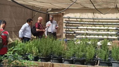 Fde9ffc4b3c446db78961c99c46e5094