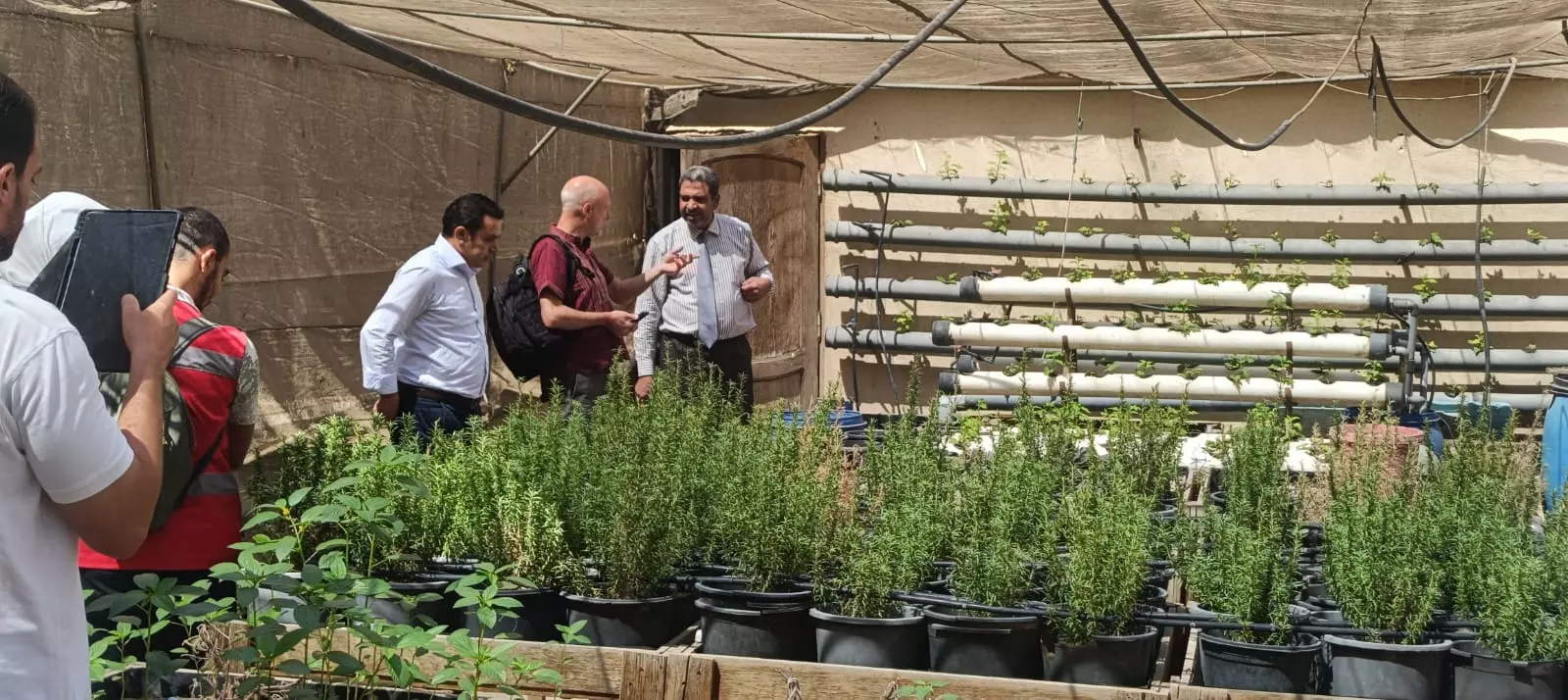 Fde9ffc4b3c446db78961c99c46e5094