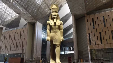 52a58de86f67c52dba34681f797f6dcb