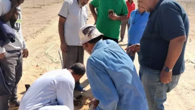 6a0d3843cb010a7f4b86d25fee38a6d6