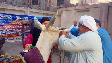 75af6b934208b9c761bb4f5a066ec559