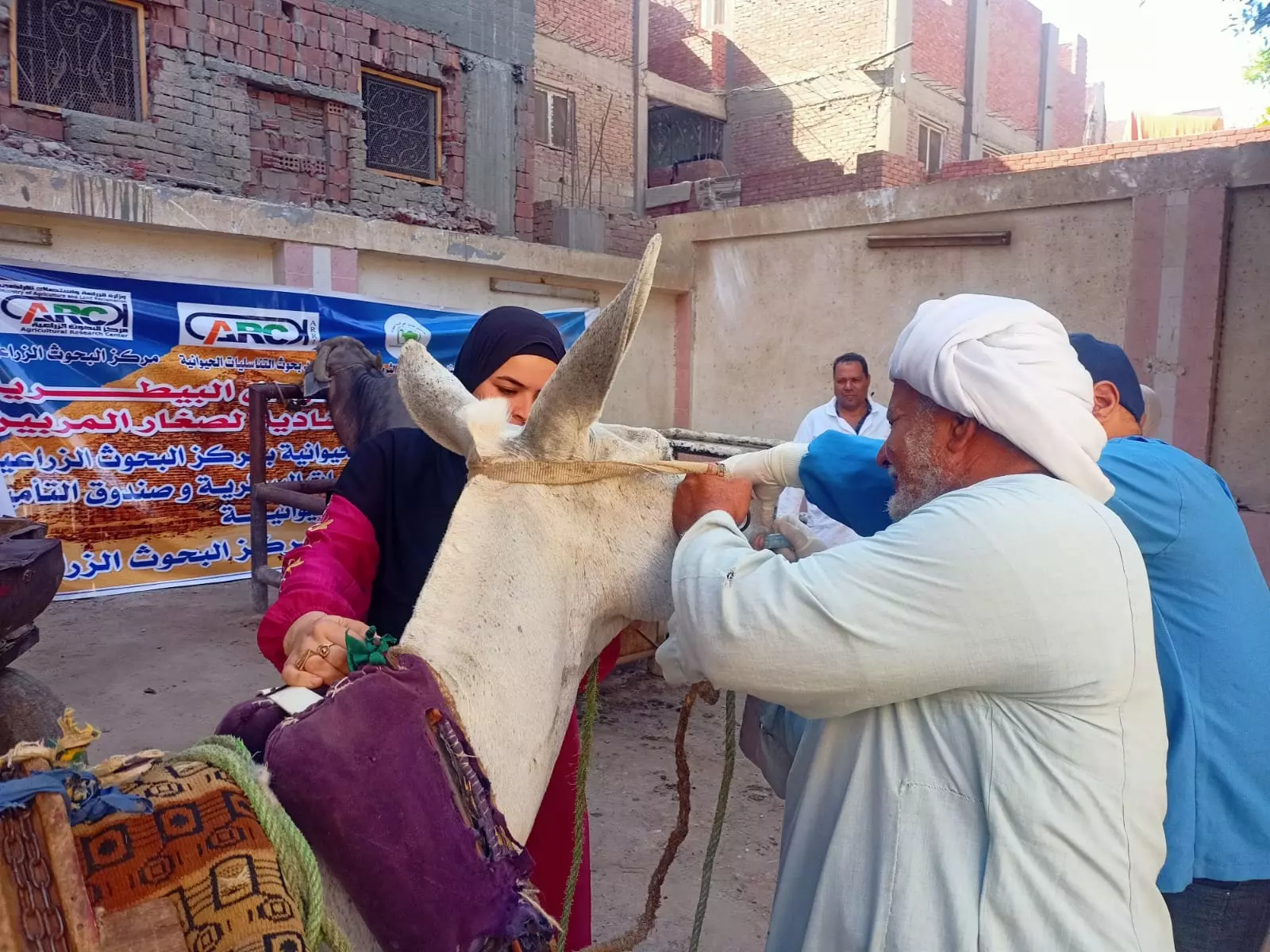 75af6b934208b9c761bb4f5a066ec559