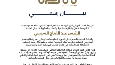 799d1f767768ecd697149b20b39881c7