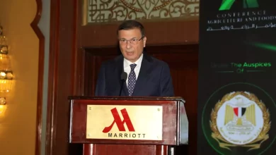 8348e267c6d1a22fd37110219d80e28e