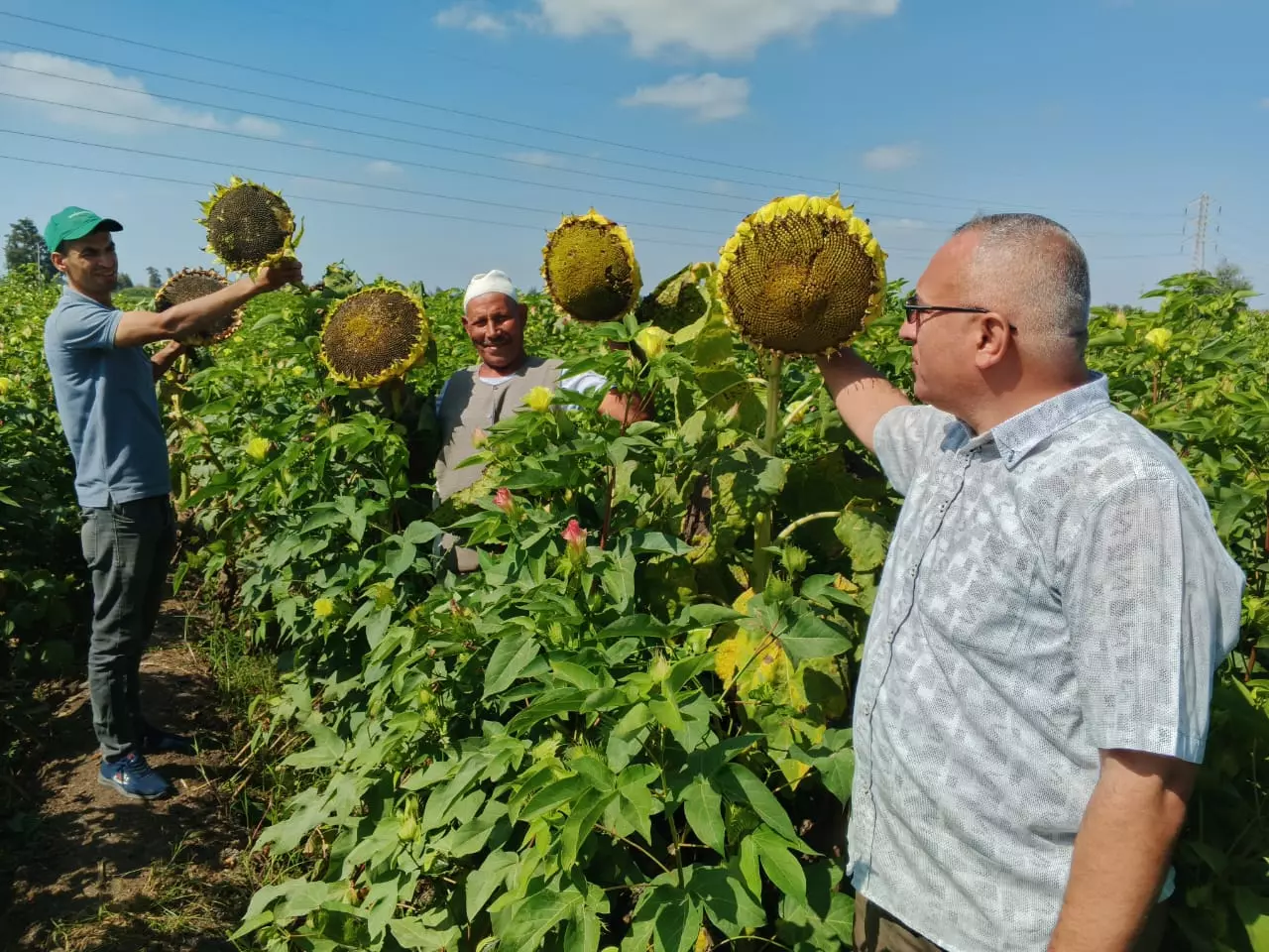 860b0df0122c08b5abf784397fc37165