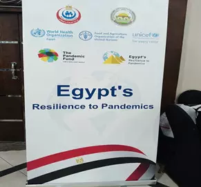 8ae880b77203f9e362d9e401f6df8d21