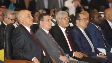 9a4a3e45409447162d8b5ddff506e244