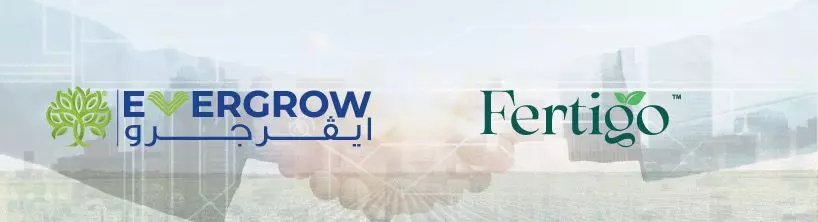 B0ff039718765daa924b71c51b7fe65b