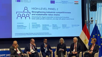 B3e118103be754a0e8fb3045a4472ff4