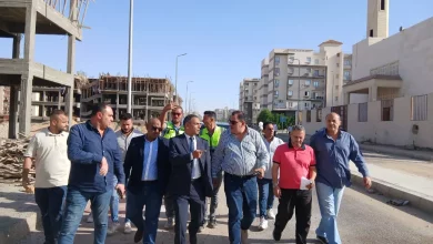 Bb65da3f819a57e0e36c07a9edd43214