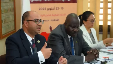 C8098ddc72ceffb1687c07090970a7a8