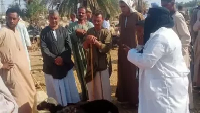 D63a381e4661ee7ebbec76ff0b673b4d