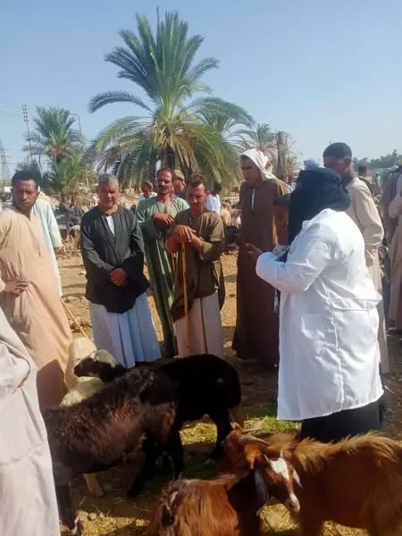 D63a381e4661ee7ebbec76ff0b673b4d