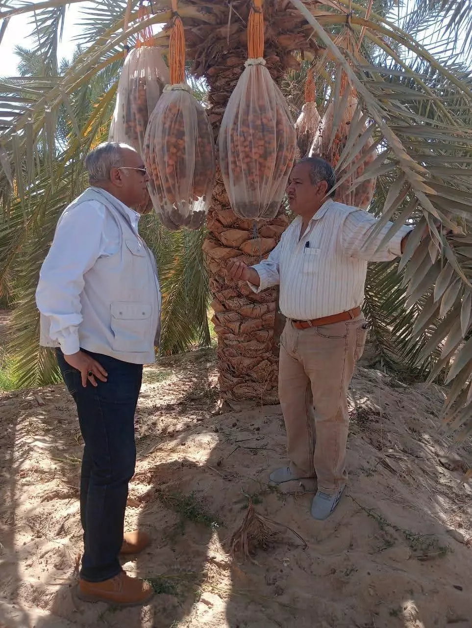 E5f9eddcf469c813e913e09fadad1aa1