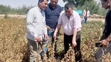 Fe363691469e0af3464206d9529e2121