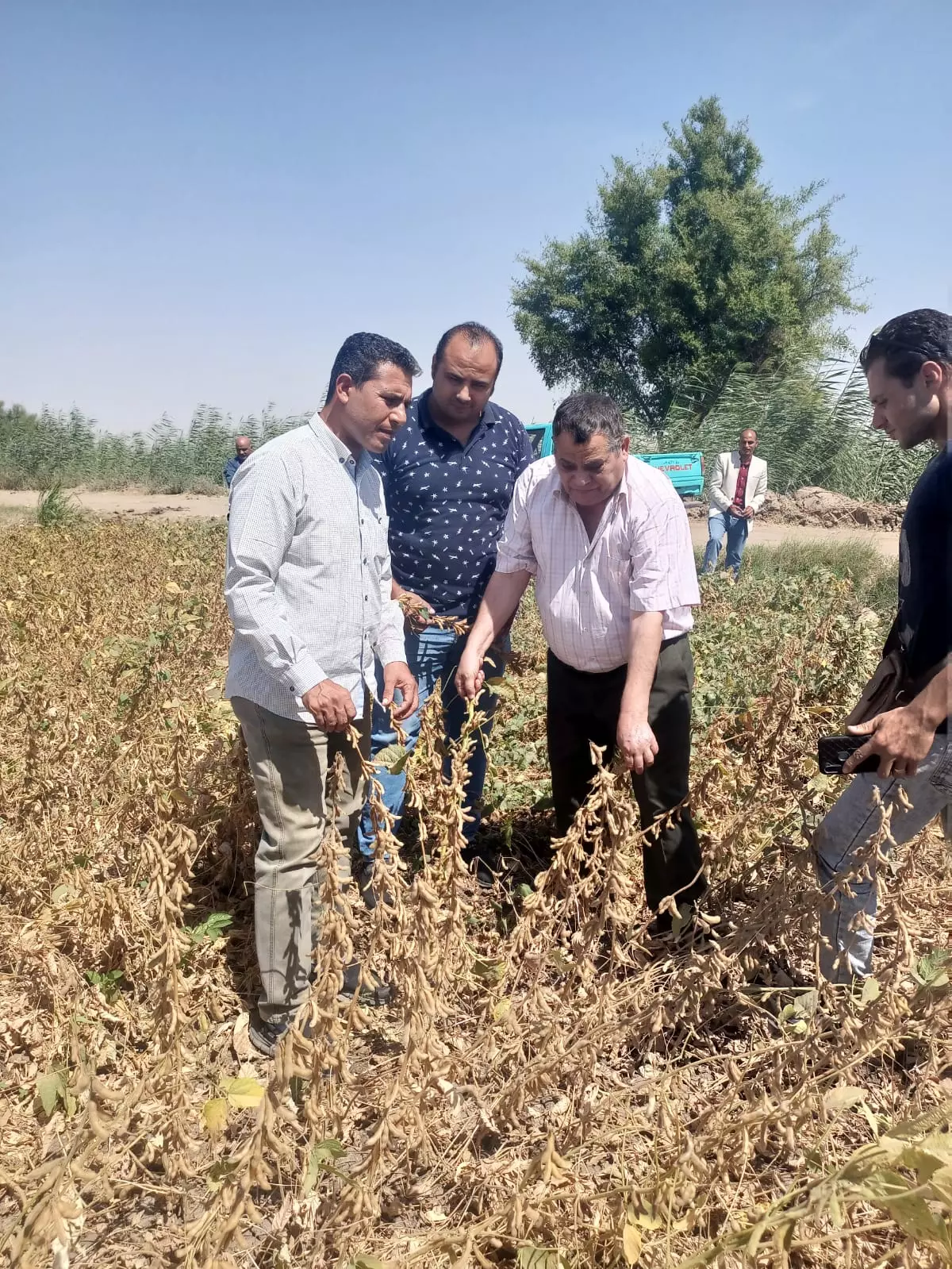 Fe363691469e0af3464206d9529e2121