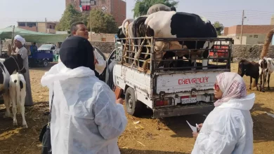 131de60901e6d79152b5907378bc1581