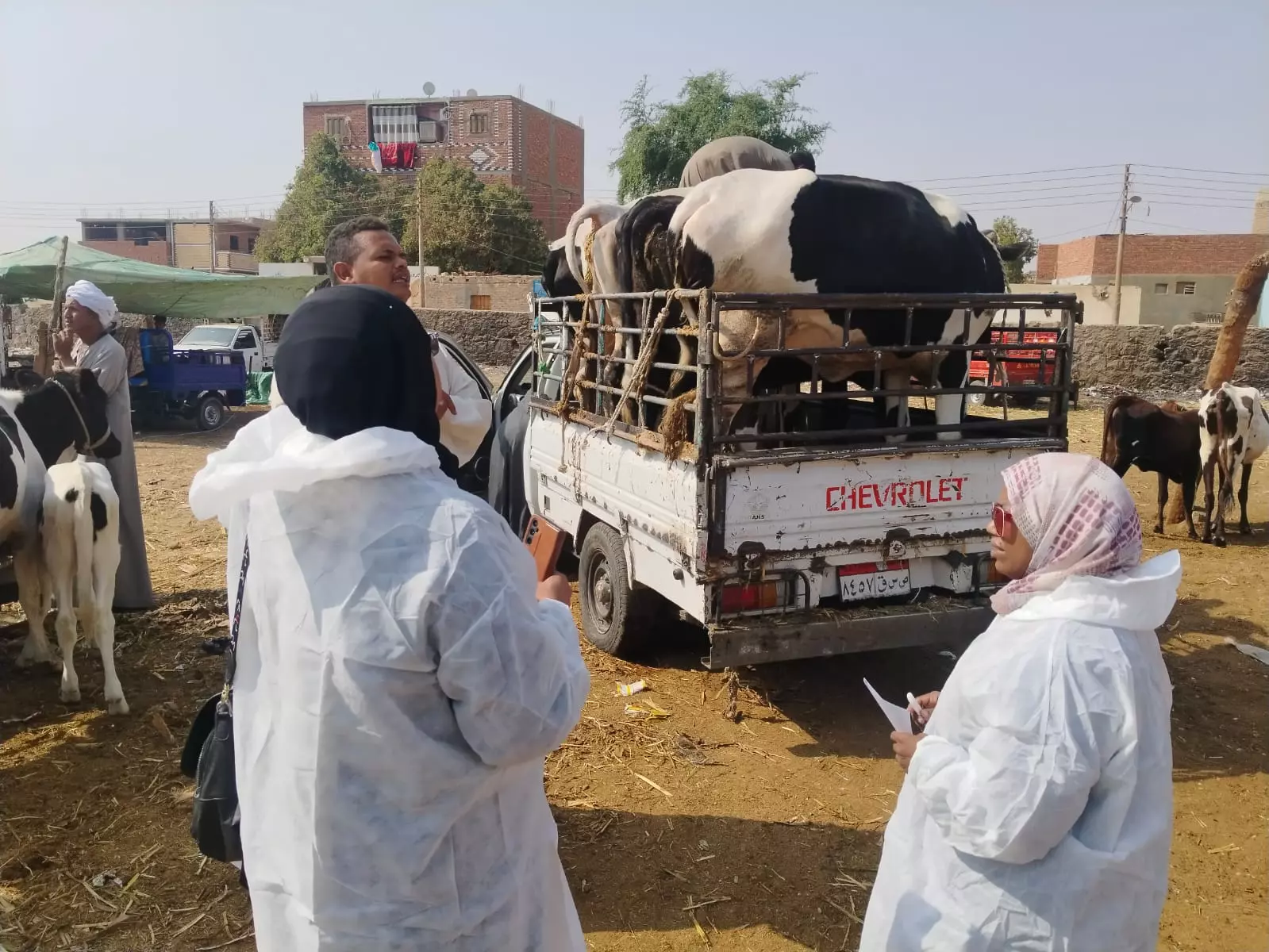 131de60901e6d79152b5907378bc1581